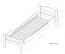 Single bed "Easy Premium Line" K1/h with trundle bed frame and 2 cover plates, beech wood, solid, clearly varnished - 90 x 200 cm 