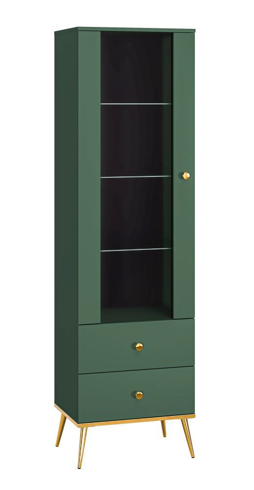 Display case Inari 01, Colour: forest green - measurements: 190 x 55 x 40 cm (H x W x D), with 1 door, 2 drawers and 4 shelves