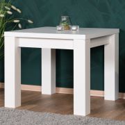White Coffee Table Solid Oak Pirol 119 | 50 x 60 x 60 cm | Square, Robust, Modern, High-Quality
