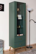 Display cabinet Inari 01, color: forest green - Dimensions: 190 x 55 x 40 cm (H x W x D), with 1 door, 2 drawers and 4 compartments