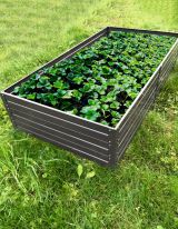 Raised garden bed 01 galvanised with powder coating - Measurements: 150 x 75 cm (L x W)