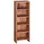 CD Shelf Solid Sheesham Wood | Handmade | 90 x 30 x 17 cm | Fits Approx. 100 CDs | Unique Grain