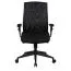 Apolo 58 Office Chair Black | Extra Thick Upholstered Seat | Adjustable Height | 120 kg Capacity | Ergonomic Mesh Back