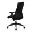 Apolo 58 Office Chair Black | Extra Thick Upholstered Seat | Adjustable Height | 120 kg Capacity | Ergonomic Mesh Back