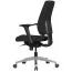 Ergonomic Office Chair Apolo 62 | Black/Chrome | Adjustable Seat Firmness | Executive Comfort | Durable Design