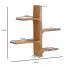 Sheesham Solid Wood Wall Shelf | Modern Tree Design | 60 x 58 x 15 cm | Handcrafted | Brown Finish