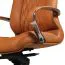 Apolo 65 Premium Ergonomic Office Chair | Caramel Leather, Chrome Base, Headrest, Adjustable Height, 3-Point Tilt, 120 kg Capacity