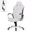 Gaming chair / desk chair with breathable cover Apolo 37, color: white / black, lockable rocking mechanism