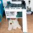 Large White Bunk Bed with Slide 140 x 200 cm | Solid Beech Wood | Converts to Two Single Beds | Easy Premium Line K32/n