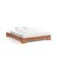 Single Bed / Guest Bed Tasman 02 | Solid Beech Oiled | 140 x 200 cm Lying Area | Premium Quality