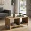 Alotau 12 Coffee Table | Oak Colour | 100 x 60 x 46 cm | Modern Living Room Storage