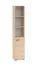 Shelf | Color: Lindberg Oak | narrow | 1 hinged door | soft-close feature | 5 compartments | 39 x 34 x 203 cm | for the office and home office | lockable door