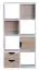 Versatile shelf unit, color: white / Sonoma oak - Dimensions: 120 x 60 x 29 cm (H x W x D), with 2 drawers & door compartment