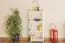 White Solid Pine Shelf Junco 56D | 125 x 50 x 30 cm | Modern Design | 3-Tier Storage