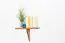 Hanging Wall Shelf Solid Pine | Oak Color 020 | 24 x 40 x 20 cm | Premium Solid Wood
