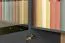 Dresser Vaitele 28, Colour: Anthracite high gloss / Walnut - 88 x 167 x 45 cm (h x w x d)