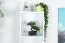 Children's Room Shelf Alard 11 | White | 171 x 35 x 36 cm | 5 Compartments | Modern Handleless Design