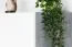Children's Wardrobe Lede 05 | Grey/Oak/White | 190 x 45 x 40 cm | Modern, Durable, Stylish
