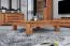 Tasman 19 Coffee Table | Solid Oiled Core Beech | 110 x 60 x 40 cm | Natural Finish