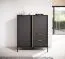 Modern Chest of Drawers Raoued 01 | Anthracite Finish | Gold Handles | 2 Drawers | 103 x 123 x 39.5 cm