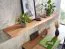 Wall Shelf Solid Acacia Wood | Tree Edge | 4 x 140 x 26 cm | Floating Design | Handmade