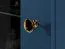 Display case Kumpula 01, Colour: dark blue - measurements: 190 x 55 x 40 cm (h x w x d), with 1 door, 2 drawers and 4 shelves