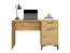 Desk Pandrup 23, Colour: Oak / Black - Measurements: 75 x 120 x 51 cm (H x W x D), with 1 door, 1 drawer and 2 compartments.