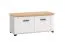 Bench with Storage Banat 19 | White Matt & Oak Artisan | 2 Doors | ABS Edges | 47.5 x 103.5 x 41 cm | Anteroom