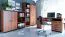 Shelf Mojokerto 09 | Walnut / Black | 121 x 60 x 39 cm | Modern Storage Unit