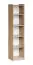 Cuarto 01 bookcase, color: Sonoma oak - 173 x 40 x 34 cm (H x W x D)