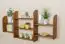Wall shelf solid, natural pine wood 021 - Dimensions 75 x 150 x 20 cm (H x B x T)
