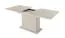 Extendable dining table | beige | 160-200 x 90 x 75 cm | ABS edges | modern slatted design | extendable up to 200 cm | for dining room