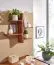 Sheesham Solid Wood Wall Shelf | Modern Tree Design | 60 x 58 x 15 cm | Handcrafted | Brown Finish