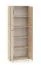 File Cabinet | Color: Lindberg Oak | 2 hinged doors | Soft-close feature | 5 compartments | Lockable doors | 79 x 34 x 203 cm | For the office and home office