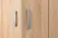 Hinged door cabinet / Wardrobe Ainsa 01, Colour: Oak Brown - 209 x 50 x 37 cm (H x W x D)