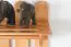 Coat rack Pine Solid Wood Alder color Junco 346 – Dimensions: 100 x 80 x 33 cm (H x W x D)