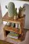 Solid Wood S-Shaped Side Table Apolo 177 | Sheesham Finish | 60 x 30 x 44 cm | Multi-Use Magazine Rack or Shelf