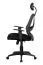 Ergonomic Desk Chair with Headrest Apolo 35 Black | Breathable Mesh | Adjustable Height & Armrests | Lumbar Support