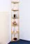 Tall 6-Tier Corner Unit Junco 59, solid pine, clearly varnished - H200 x W40 x D30 cm