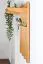 Solid Pine Wood Wardrobe | Alder Colour | Junco 353 | 80 x 50 x 29 cm | Modern Design