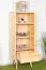 Solid Pine Shelf Natural Aurornis 23 | Modern Design | 125 x 50 x 40 cm | Premium Craftsmanship