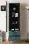 Display cabinet Inari 01, color: forest green - Dimensions: 190 x 55 x 40 cm (H x W x D), with 1 door, 2 drawers and 4 compartments