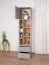 Cabinet, shelf unit with 7 open compartments, youth room cabinet, 195 x 45 x 40 cm, oak / gray, 1 door and 2 drawers, ABS edges