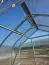 Roof window with automatic roof window opener for greenhouses