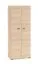 Closet | Color: Lindberg Oak | 2 hinged doors | 2 compartments | 79 x 51 x 203 cm | for the office and home office | lockable | soft-close feature | 1 clothes rod
