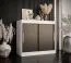 Simple Chest of Drawers Liskamm 50 | Two Sliding Doors | White Matt / Black Matt | 100 x 100 x 45 cm | Four Compartments