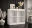 Simple Chest of Drawers Liskamm 50 | Two Sliding Doors | White Matt / Black Matt | 100 x 100 x 45 cm | Four Compartments