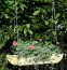 Hanging planter Fruticosus - Dimensions: 90 x 18 x 15 cm (W x D x H)