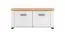 Bench with Storage Banat 19 | White Matt & Oak Artisan | 2 Doors | ABS Edges | 47.5 x 103.5 x 41 cm | Anteroom