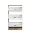 Shoe Cabinet with Mirror Front Gradide 07 | Sonoma Oak | 3 Hinged Doors | 119 x 67 x 28 cm | 6 Compartments